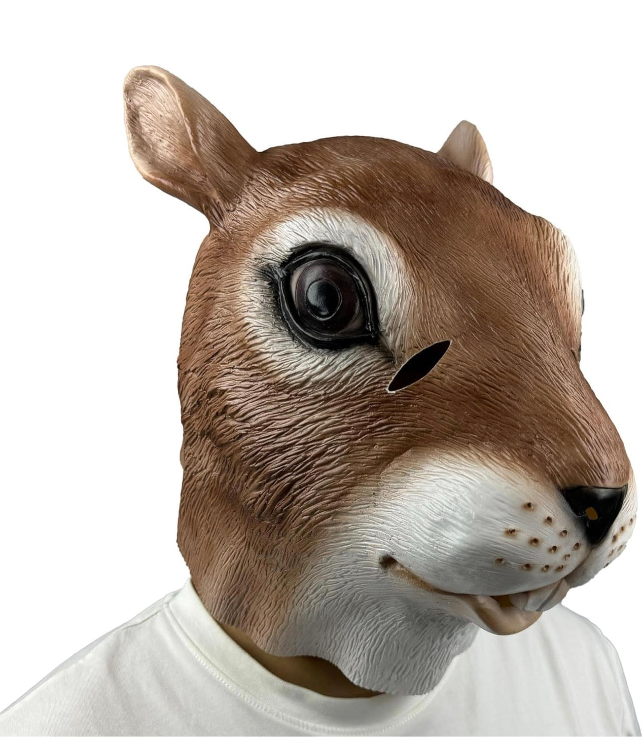 Squirrel mask