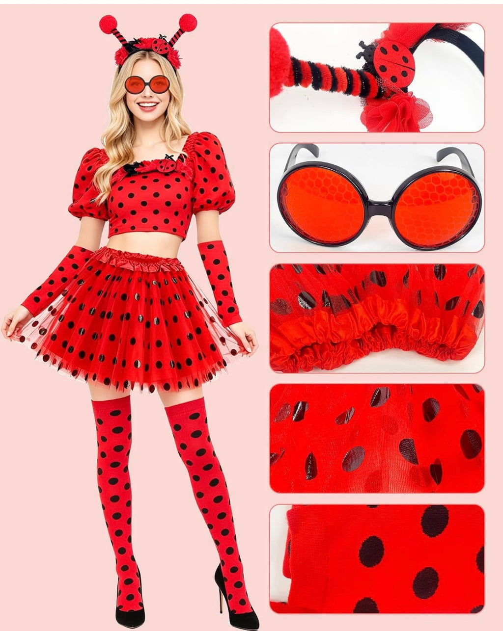 Ladybug