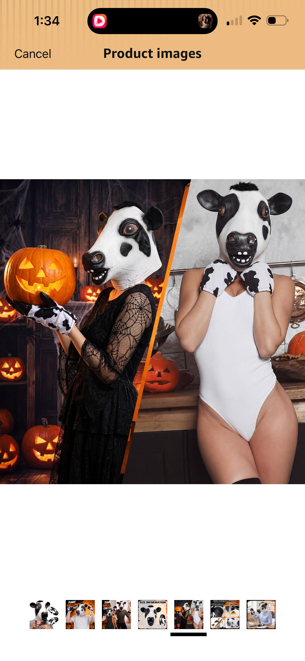 Cow mask and gloves